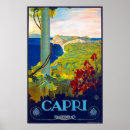 Search for capri posters Coastline