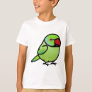 Search for ringneck tshirts Indian ringneck parakeet