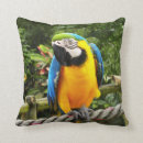 Recherche de ara coussins Tropical