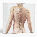 Search for body binders Illustration