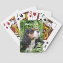 Recherche de tri jeux de cartes Animal