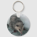 Search for marsupials rounded keychains Nature