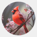 Search for red bird stickers Avian