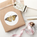 Search for painted lady stickers Garden