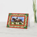 Search for clydesdale horse Equine