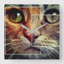 Search for cat face clocks Cute