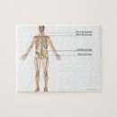 Recherche de corps humain puzzles Médical