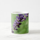 Search for stalk mugs Botanical
