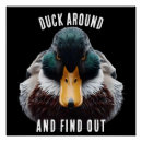 Recherche de chasse de canard posters Sauvagine