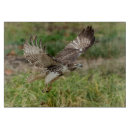 Recherche de rapace planches à découper Faune