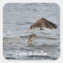 Search for osprey stickers Wildlife