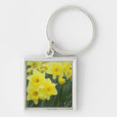 Search for daffodil square keychains Plant