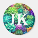 Recherche de plantes vertes magnets Succulent