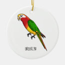 Search for parrot ornaments Cute