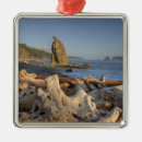 Recherche de parc national ornements Plage