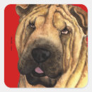 Recherche de pei shar autocollants Sharpei