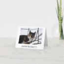 Search for silly cat birthday cards Humourous