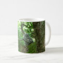 Search for live oak tree Photography