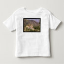 Recherche de roman tshirts Architecture