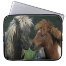 Search for lap touch electronics Horse