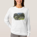 Search for inca tshirts South america