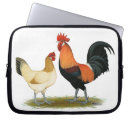 Search for bantam electronics Bird