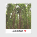Recherche de woods autocollants Nature