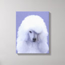 Search for poodle canvas prints White standard poodle