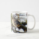 Search for rump mugs Yellow rumped warbler