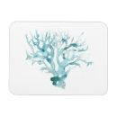 Recherche de vie marine magnets Corail