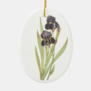 Search for iris ornaments Vintage