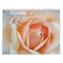 Search for rose macro photography Floral