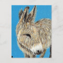 Recherche de ânes cartes postales Brun