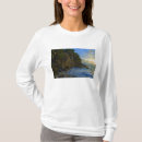 Search for ansi Tropical