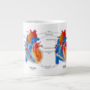 Search for anatomy mugs Cardiac