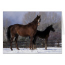 Recherche de poulain jument cartes postales Position