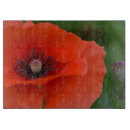 Search for red poppies cutting boards Nature