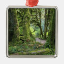 Search for olympic national park ornaments Usa