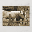 Recherche de ranchs vœux cartes Équitation