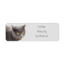 Search for kitties return address labels Animal