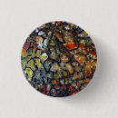 Search for fossilized bones buttons Darrell gulin