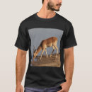 Search for african antelope clothing Wildlife