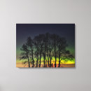 Search for northern lights canvas prints Night