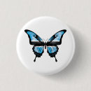 Search for butterfly buttons Pride