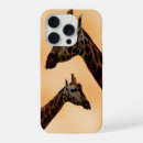 Search for spotty cases Spots