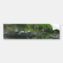 Search for tortoise bumper stickers Nature