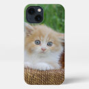Search for fluffy kitten iphone cases Animal