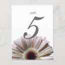 Recherche de engagement party postcards Fiançailles