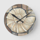 Search for shell clocks Conch