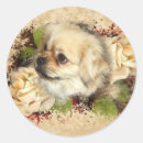 Search for tibetan spaniel stickers Animal